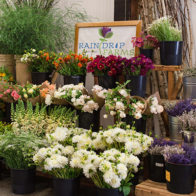 Setting floral standards  and variety-specific vase trials